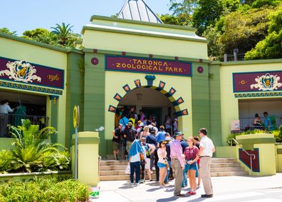 simple way to save family of four discount trap