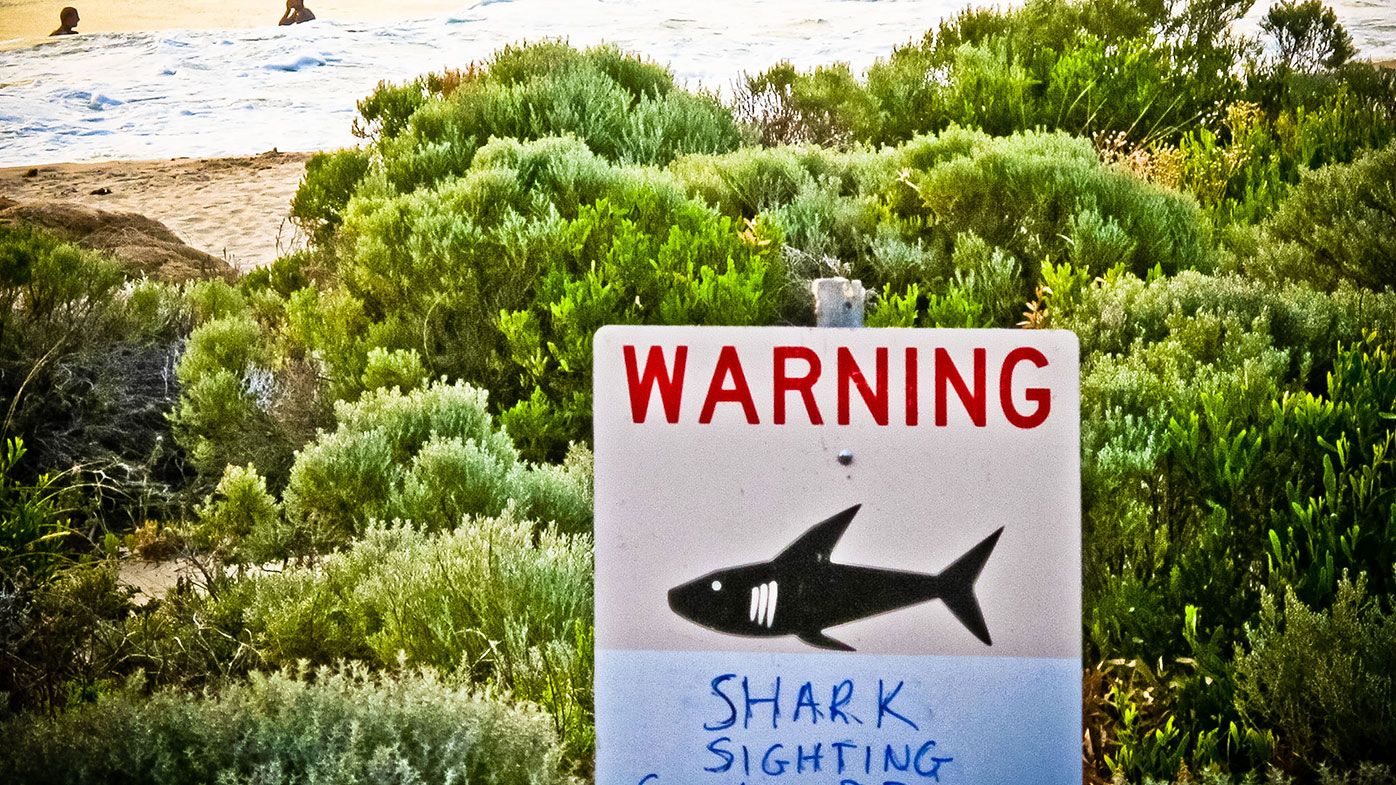A shark sighting sign is displayed near Prevelly Beach at the mouth of the Margaret River in Western Australia