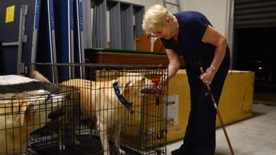 77-year-old Dottie Bostoch checks on her dog Leo at an evacuation centre. (AAP)