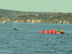 Humpback whale stuck in Sydney Harbour nets