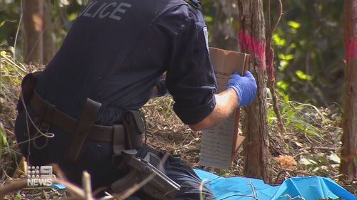 Detectives are continuing to comb through bushland in Kendall, on the NSW Mid North Coast, near the home that William Tyrrell disappeared from in 2014.