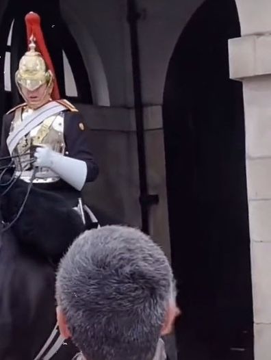tourist yelled at by member of Queen's guard for touching horse reigns