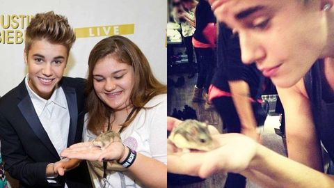 Bad Bieber: Justin slammed for 'cruelty to hamsters'