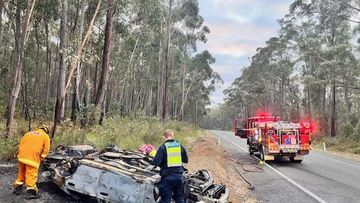 A car burst into flames after crashing at Cabbage Tree Creek in eastern Victoria.