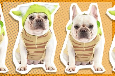 9PR: Star Wars Yoda Costume for Dogs