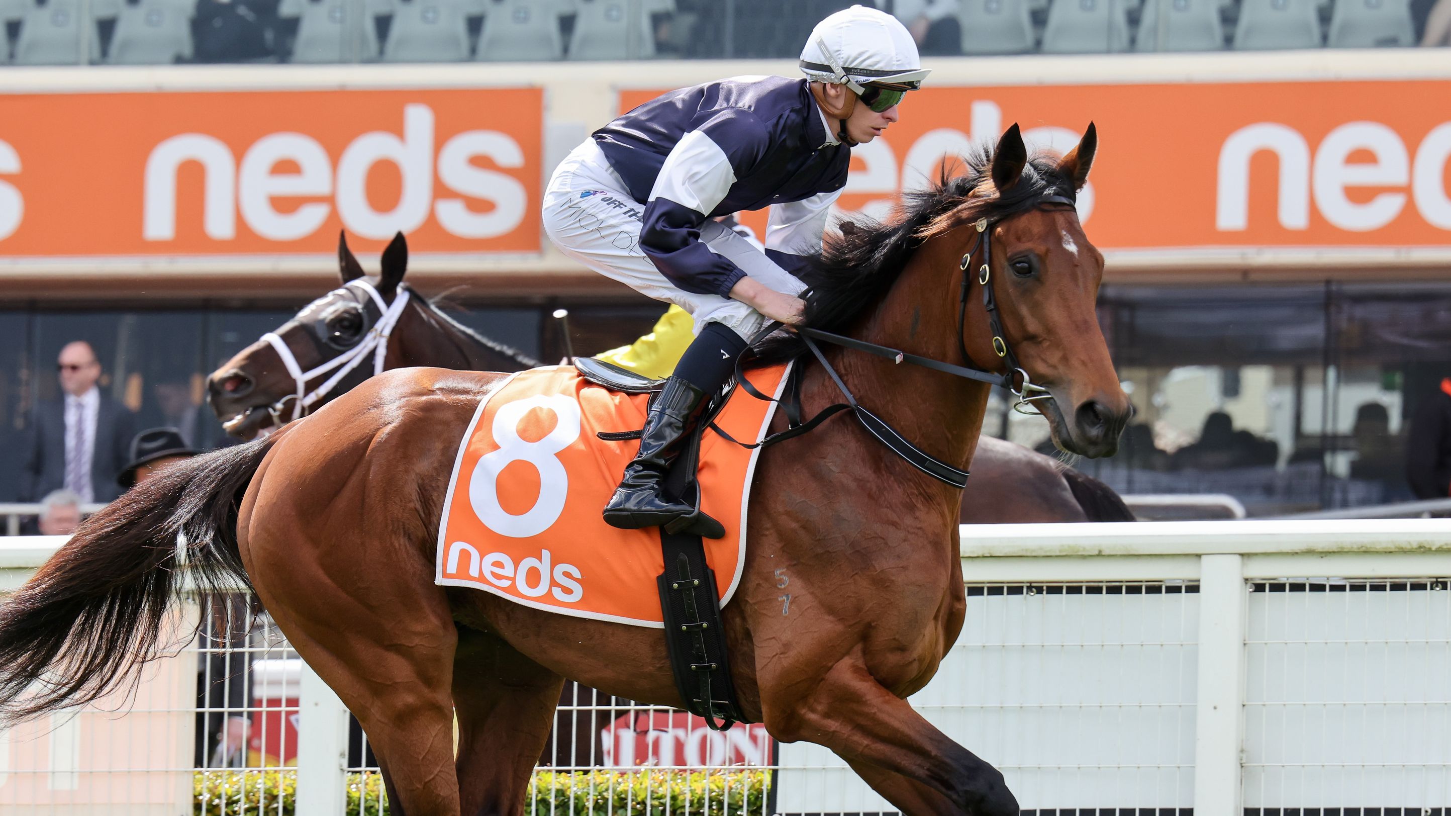 Melbourne Cup field reduced after scratching