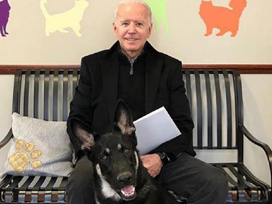 Joe and Jill Biden dog