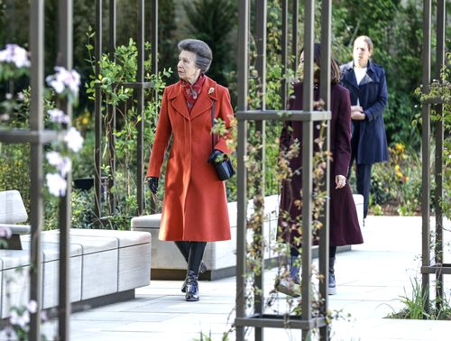 Principessa Anna, principessa reale 