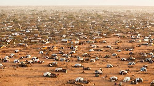 Around 300 babies are born every day in Dadaab camp.