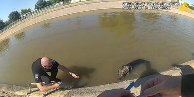 Arizona officers rescue dog in canal