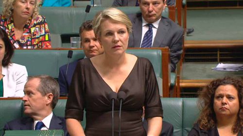 Opposition foreign affairs spokeswoman Tanya Plibersek. (9NEWS)