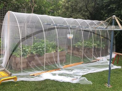 Scott Cam shows how to build a veggie garden cover for under $300