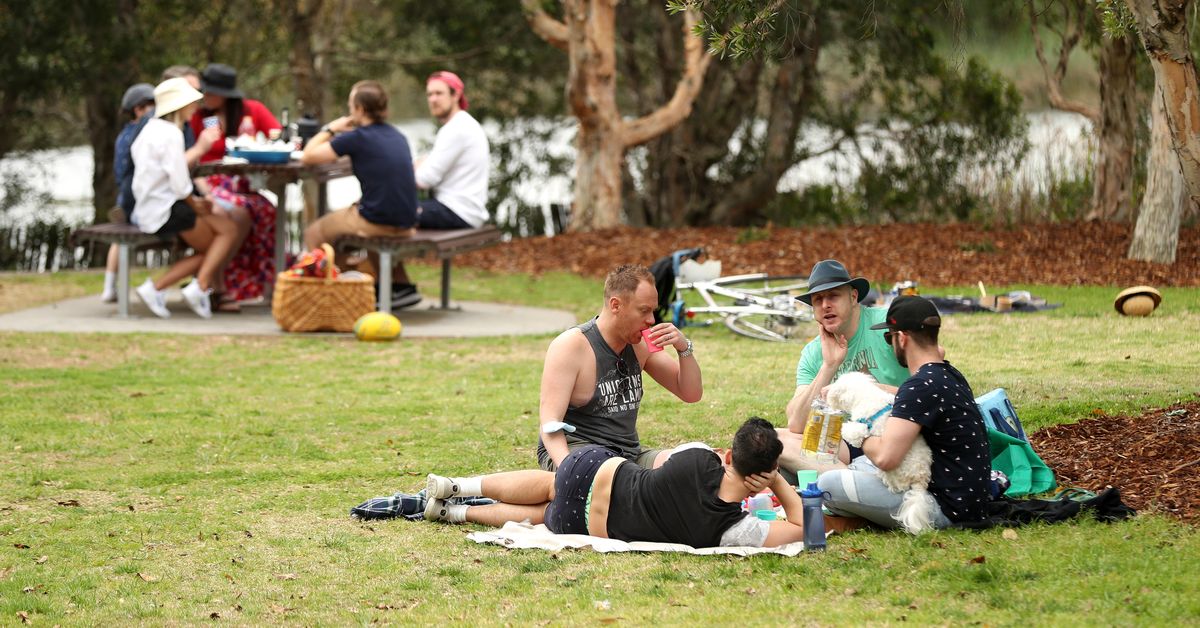 Sydney frees up more parks for beer and bubbles as ‘thank you’ to vaccinated residents – 9News