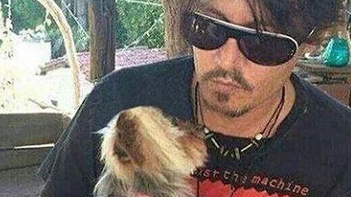 Johnny Depp pictured with one of his pet dogs.