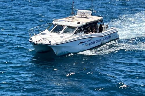 Ferry passenger spots scuba divers in water