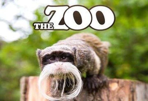 The Zoo