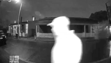 South Australian Police have seized CCTV vision from nearby residents.