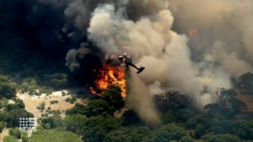 Aerial support dumped water and 45 000 litres of pink retardant over the national forest area that was alight. 