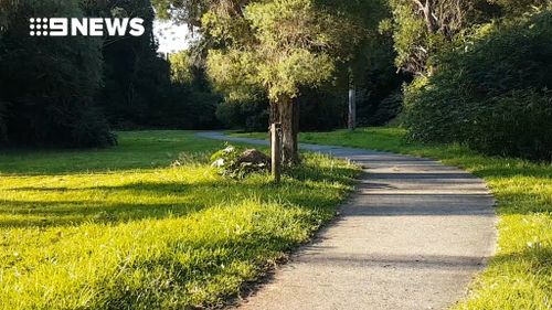 The girl was walking to school when she was set upon by a man wearing camouflage. (9NEWS)