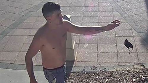 Man wanted for assault old man at fish shop perth wa 