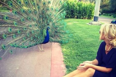 <b>kyleandjackieo</b>: Sitting on the side of a road with a peacock. As you do!! #KJTakeDubai
