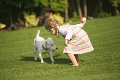 Dog and child playing with ball