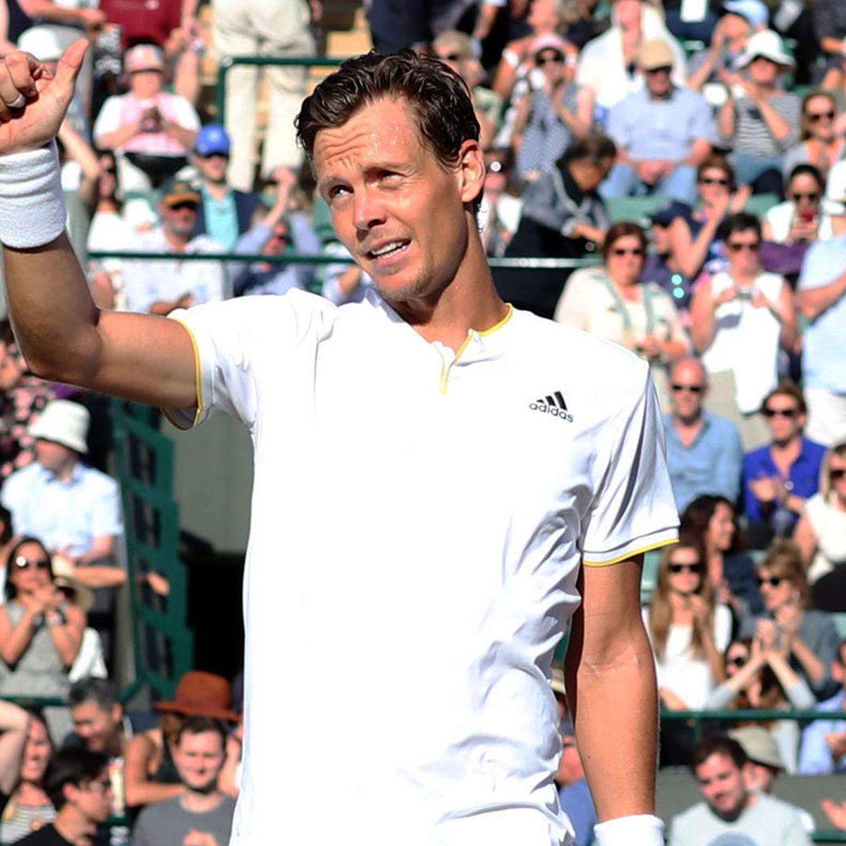 tomas berdych adidas