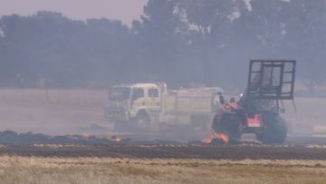 The CFA have put out eight deliberately lit fires in Adelaide.