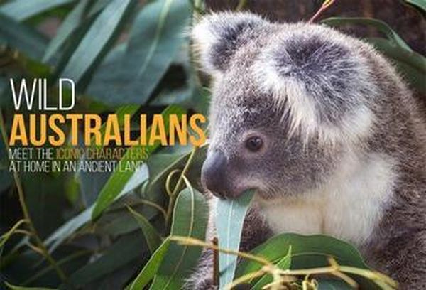 Wild Australians