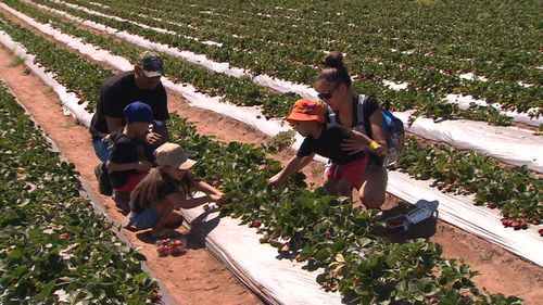 Hundreds visited the farm to support growers.