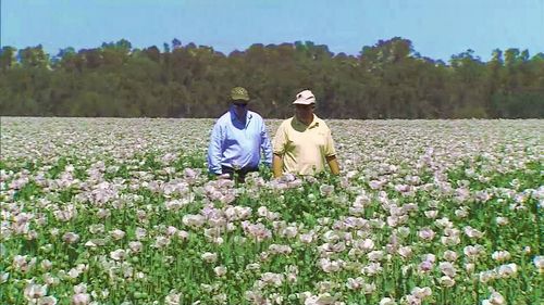 9News was given exclusive access to a highly protected farm in the Riverina district.