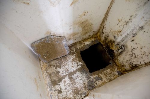 This photo shows the opening of a tunnel, authorities claim was used by drug lord Joaquin "El Chapo" Guzman, to escape from inside his cell at the Altiplano maximum security prison, in Almoloya, west of Mexico City, Wednesday, July 15, 2015. (AP Photo/Eduardo Verdugo)