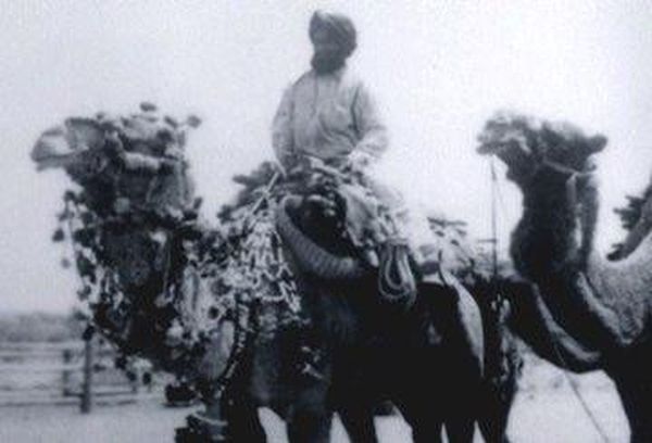 Afghan Cameleer Australia