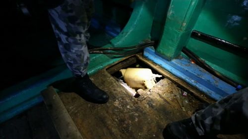 Below deck, officers found bags of narcotics. (Royal Australian Navy)