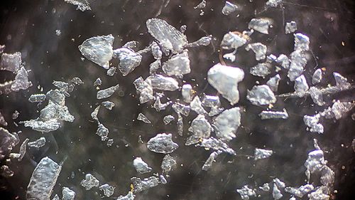 Algumas das principais marcas de cuidados com a pele da Austrália foram forçadas a retirar produtos populares das prateleiras de um estado por conterem microesferas de plástico proibidas. ﻿