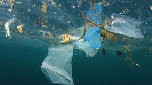 Sacos plásticos, garrafas, canudos, xícaras e outros lixo poluem o mar. Foto subaquática do lixo despejada no mar em vez de reciclagem.