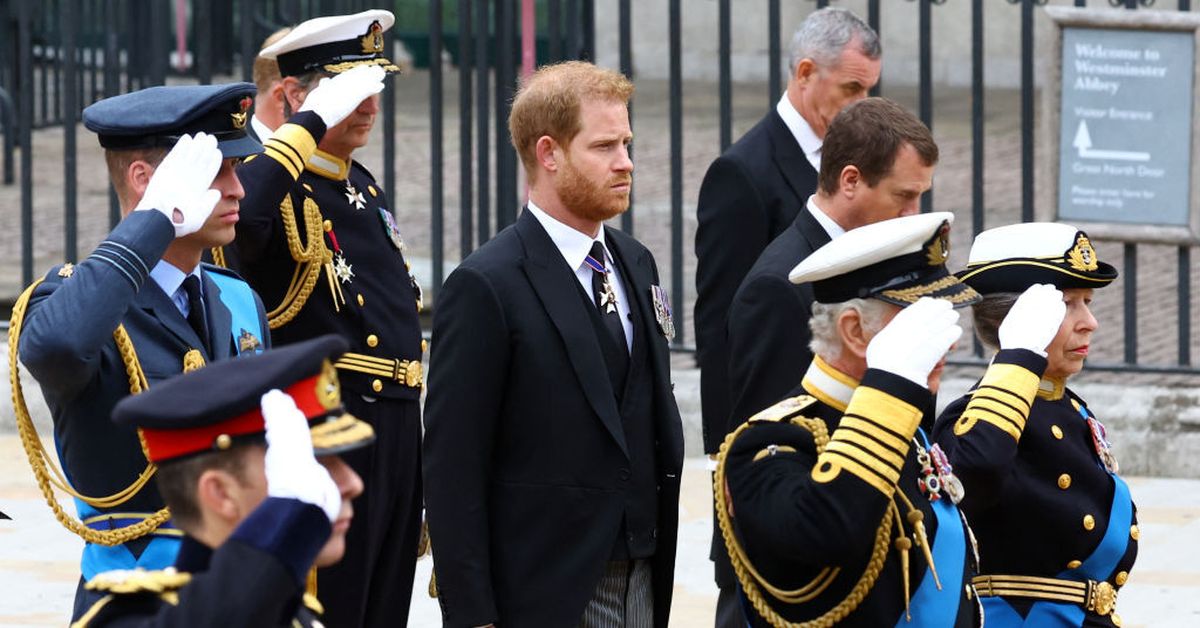 Why Prince Harry did not salute at Queen’s funeral – 9News