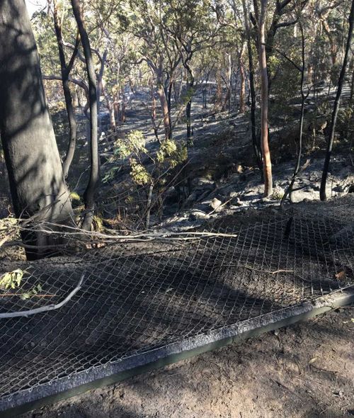 The burnt out fireground after the blaze went through. (Luke Cooper)