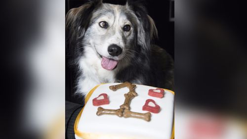 Dennis with his "one year" birthday cake. (SWNS)