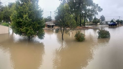 Cessnock family hit with parking fine during flooding event