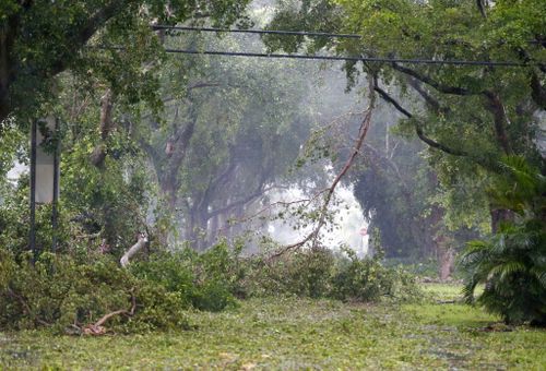 Debris fills the tree-lined streets of a residential area in Coral Gables. (AP)