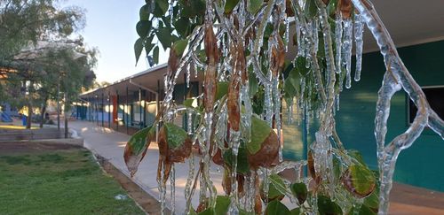 Students at Ross park Primary School were excited to find icicles forming on trees in the typically warm region.