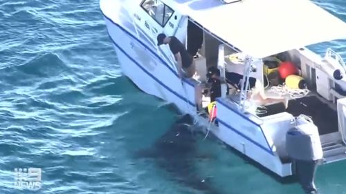 Cottesloe Beach was closed and drumlines deployed to catch and tag a five metre monster shark that's been lurking off the Perth coast.