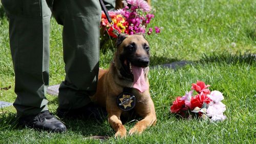 A number of canine's attended the service. (Facebook/LVMPD)