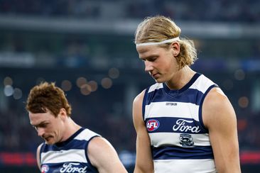 Will the Cats use De Koning as a ruckman?