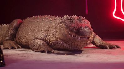 Killing It, Season 2, Stan