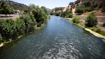 Baby salmon are dying in the thousands in one river and an entire run of endangered salmon could be wiped out in another as blistering heat waves and extended drought in the US West raise water temperatures and imperil fish from Idaho to California.