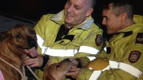 Firefighters with the man's dog and puppy. (9NEWS)