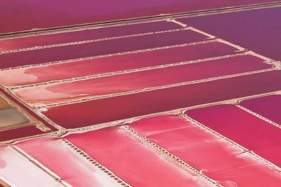 This Melbourne Lake Just Turned Bright Pink 9travel Australia S Stunning Pink Lakes 4 Of 14attribution Istock