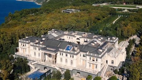 Alexei Navalny's team has released a video claiming Vladimir Putin has a palace worth $1.7b.